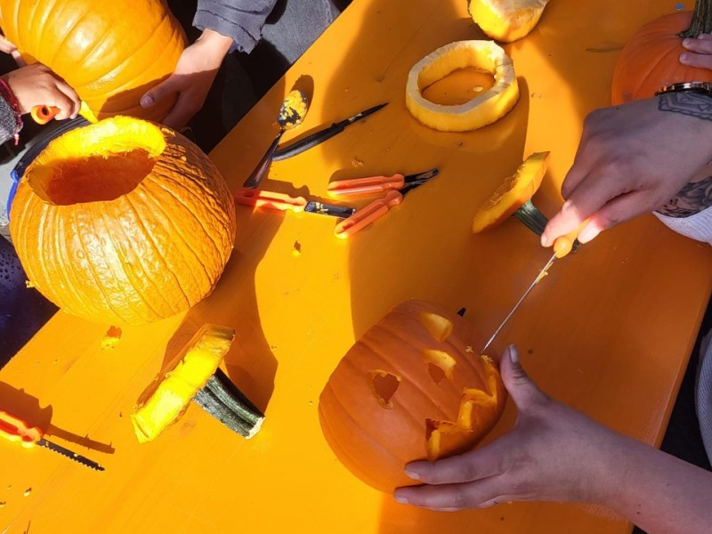 Rückblick: Herbstfest im&nbsp;Seidengarten